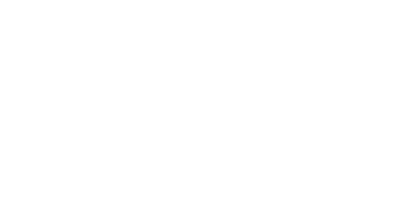 Siccas Guitars logo